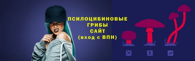 COCAINE Верея