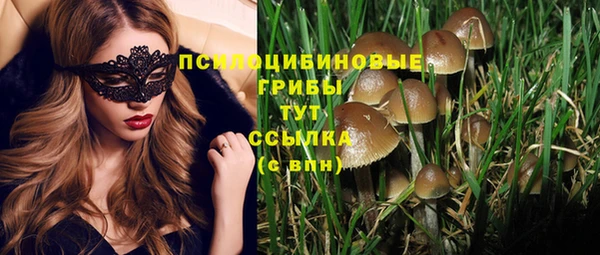 бутират Верхний Тагил