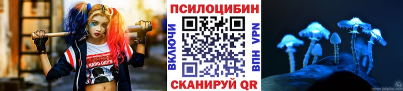 наркошоп  Саратов  Псилоцибиновые грибы мицелий 